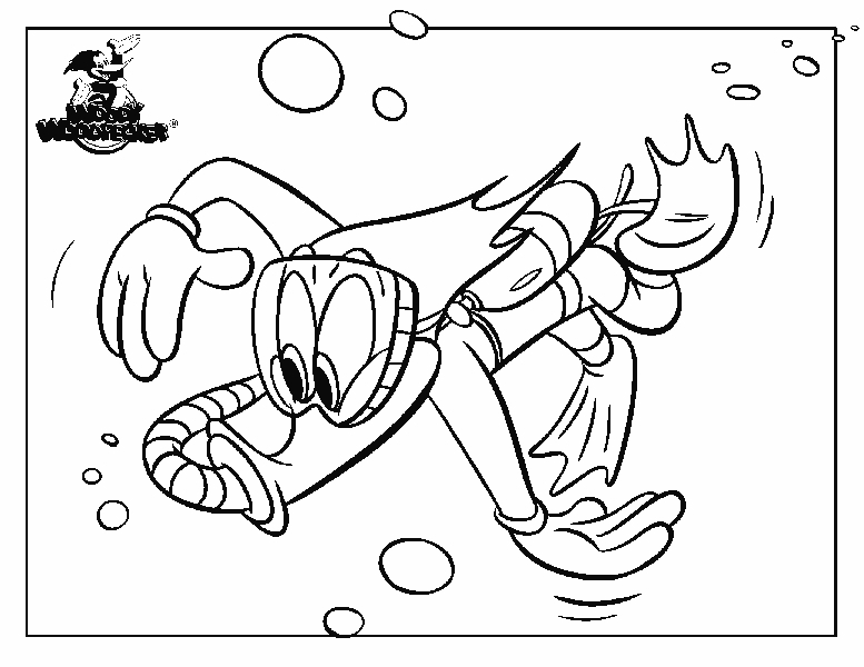 Woody Woodpecker kolorowanki